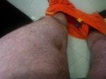 WP_000668.jpg