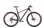 fo13_raven_29r_1_ef018692ef (1).png