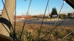20131222_093151.jpg