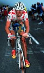 voigt98tdf.jpg