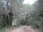 PC210029.JPG