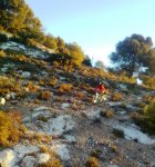 Imagen2715.jpg