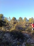 Imagen2729.jpg