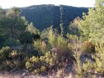 IMG-20131216-WA0013.jpg