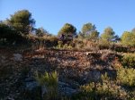 IMG-20131216-WA0016.jpg