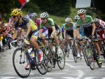 mollema.jpg