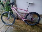 IMG-20131224-WA0006.jpg