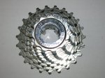 DSCN1254.JPG