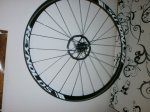 PC250461.JPG