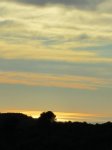 IMG_4226.JPG