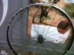 IMG00601-20131227-1801.jpg