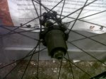 IMG00600-20131227-1801.jpg