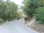 DSC01989.JPG