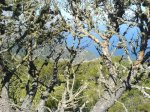 DSC02022.JPG