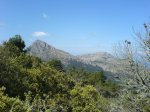 DSC02025.JPG