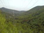 DSC00779.JPG