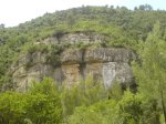 DSC00780.JPG