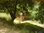 DSC00788.JPG