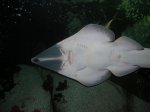 DSCN0318.JPG