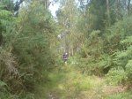 DSC00018.JPG