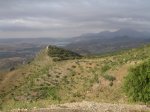 DSC01496.jpg