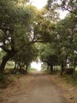 DSC01474.jpg
