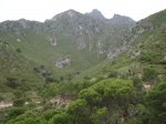 DSC01487.jpg
