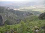 DSC01529.jpg