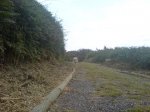DSC00031.JPG