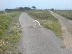 DSC00034.JPG