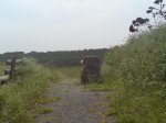 DSC00045.JPG