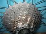 material david 011.jpg