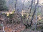 IMG_4135.JPG