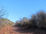 IMG_4478 (Copiar).JPG