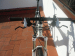 2.GIF