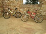 20131229_104130.jpg