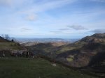 IMG_3095.JPG