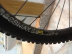 scott 019.jpg
