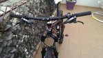IMAG0414.jpg