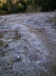 2013-12-30 10.18.46.jpg