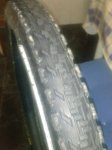 CAM01283.jpg
