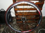 foromtb 044.JPG