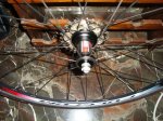 foromtb 045.JPG