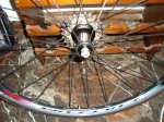 foromtb 046.JPG