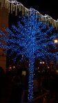 2013-12-08-087.jpg