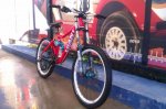 IMAG0806.jpg