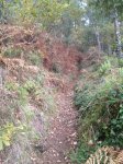 foto7.jpg