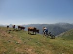 Asturianas..jpg