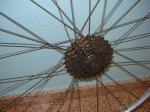DSC04541.JPG