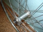 DSC04542.JPG